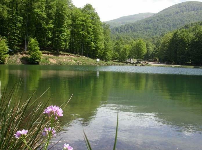 Gite Botiga Saint-Jean-le-Vieux  Kültér fotó